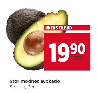 Meny Stor modnet avokado tilbud