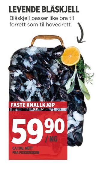 Meny Levende blåskjell tilbud