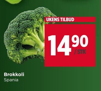 Meny Brokkoli tilbud