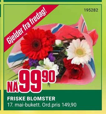 Europris FRISKE BLOMSTER tilbud