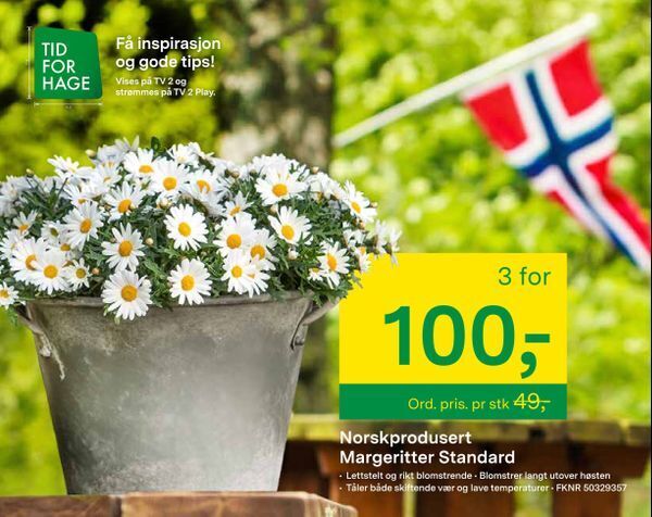 Felleskjøpet Norskprodusert Margeritter Standard tilbud