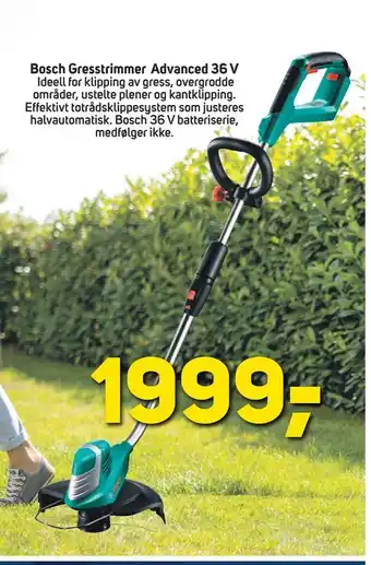 Megaflis Bosch Gresstrimmer Advanced 36 V tilbud