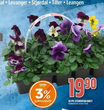 Coop Obs 10-pk stemorsblomst tilbud