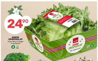 Coop Marked Norsk crispisalat tilbud