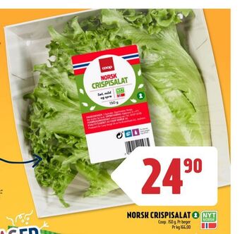 Coop Prix Norsk crispisalat tilbud