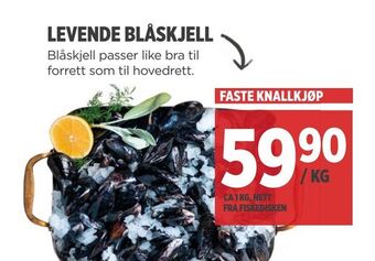 Meny Levende blåskjell tilbud
