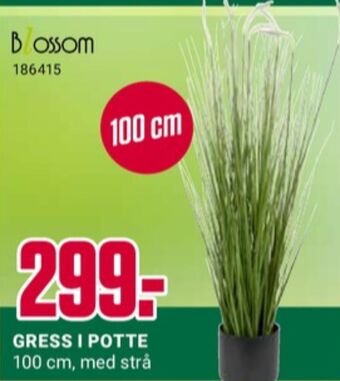 Europris Blossom plantejord tilbud