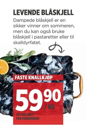 Meny Levende blåskjell tilbud