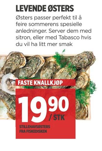 Meny Levende østers tilbud