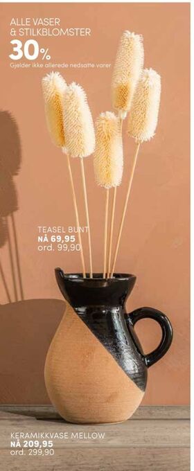 Nille Ukjent vase tilbud