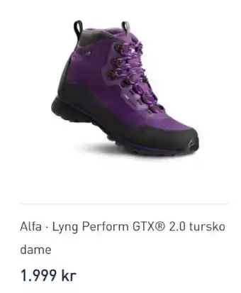 Intersport Alfa - lyng perform GTX 2.0 tursko dame tilbud