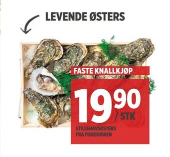 Meny Levende østers tilbud