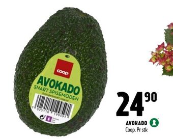 Coop Prix Avokado tilbud