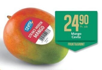 CC Mat Mango cevita tilbud