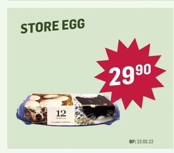 Holdbart Store egg tilbud