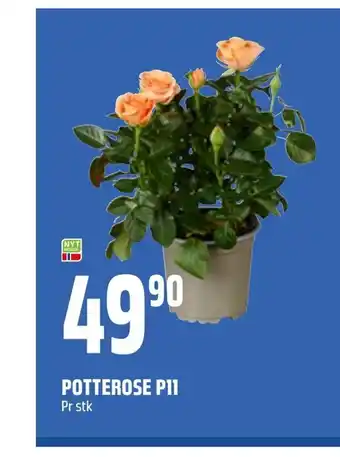 Coop Obs Potterose p11 tilbud