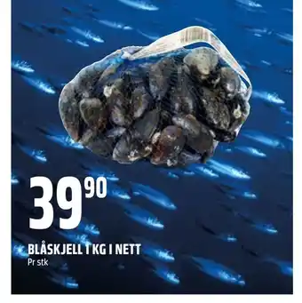 Coop Obs Blåskjell 1 kg i nett tilbud