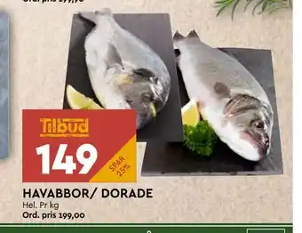Coop Mega Havabbor/ dorade tilbud