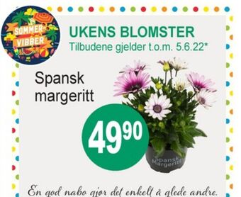 Joker Ukjent blomst tilbud