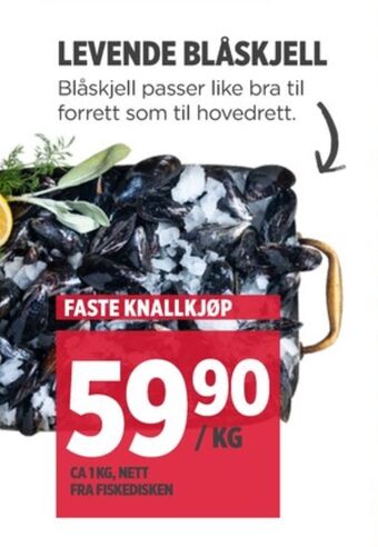 Meny Ukjent blåskjell tilbud