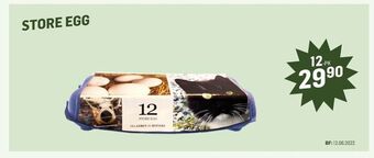 Holdbart Store egg tilbud