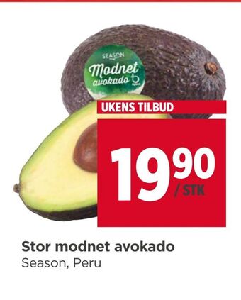 Meny Stor modnet avokado tilbud