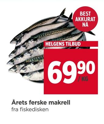 Meny Årets ferske makrell tilbud
