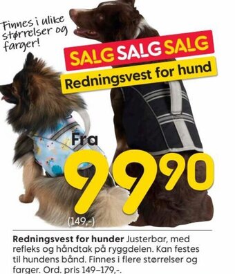 Rusta Redningsvest for Hunder tilbud