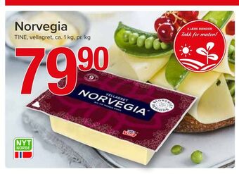 Spar Norvegia tilbud