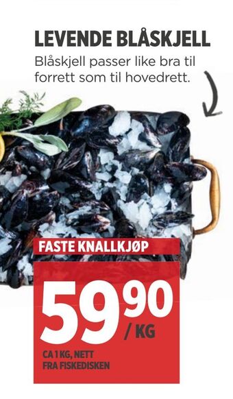 Meny Levende blåskjell tilbud