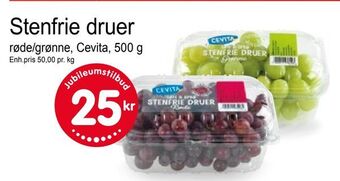 Joker Stenfrie druer tilbud