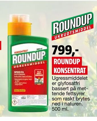 Bauhaus Roundup konsentrat tilbud
