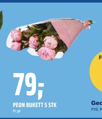 Coop Obs Peon bukett 5 stk tilbud