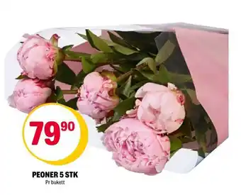 Coop Extra Peoner 5 stk tilbud