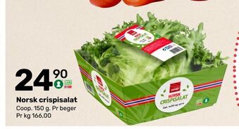 Coop Marked Norsk crispisalat tilbud