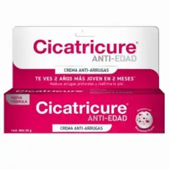 Freshmart Crema antiarrugas cicatricure - envase 60 gr - unidad oferta