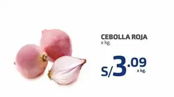 Makro Cebolla roja x kg oferta