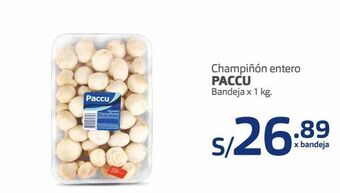 Makro Champiñón entero paccu bandeja x 1 kg oferta