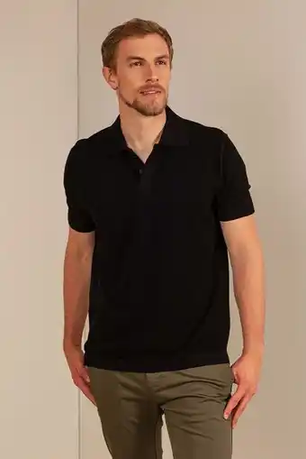 Polo umbino