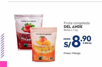 Makro Fruta congelada del ande bolsa x 1 kg. oferta