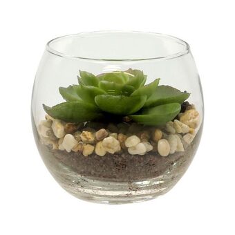 Casaideas Maceta vidrio cactus ø 8x7,3 cm oferta