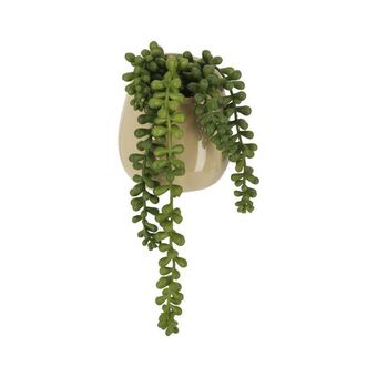 Casaideas Maceta cactus 9x5x14 cm oferta