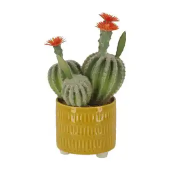 Casaideas Maceta cerámica cactus diseño ø 10,5x25 cm oferta