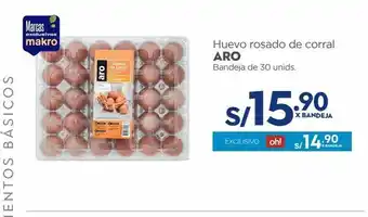 Makro Huevo rosado de corral x 30un oferta