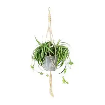 Casaideas Maceta planta colgante oferta