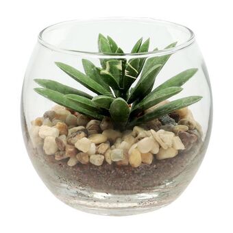 Casaideas Maceta vidrio cactus ø 8x7,3 cm oferta