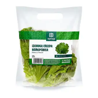 Tottus Lechuga crespa verde hidroponica oferta