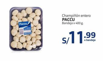 Makro Champiñón entero paccu bandeja x 400 g. oferta