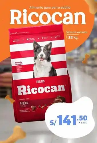 Makro Alimento para perro ricocan sabores variados saco x 22 kg oferta