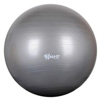 Tai Loy Pelota de gym 65 cm 1100 g oferta